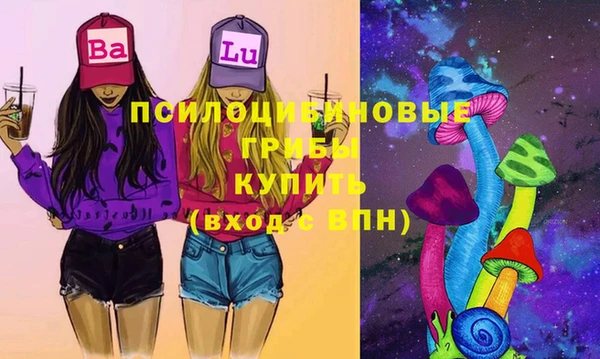 гашик Армянск