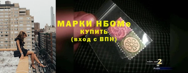индика Арсеньев