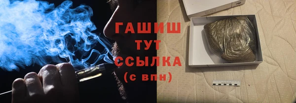 индика Арсеньев