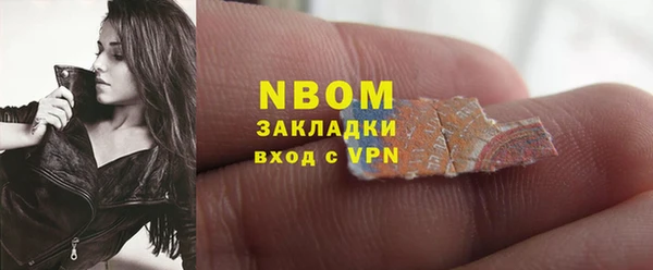 индика Арсеньев