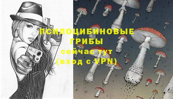 молекула духа Балахна