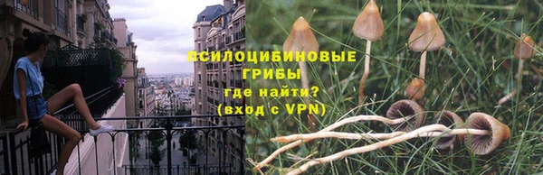 гашик Армянск
