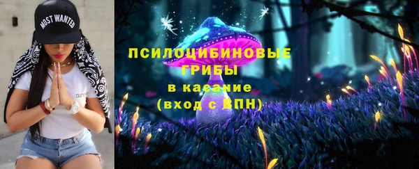 MESCALINE Аркадак